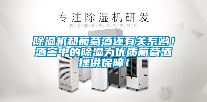 除濕機(jī)和葡萄酒還有關(guān)系喲！酒窖中的除濕為優(yōu)質(zhì)葡萄酒提供保障！