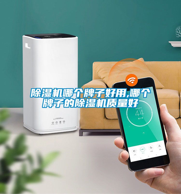 除濕機哪個牌子好用,哪個牌子的除濕機質(zhì)量好