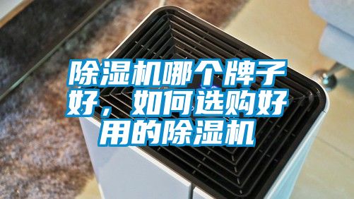 除濕機哪個牌子好，如何選購好用的除濕機