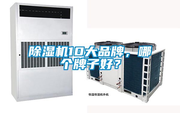 除濕機10大品牌，哪個牌子好？