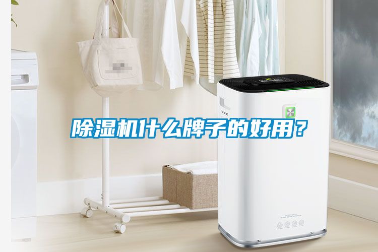除濕機(jī)什么牌子的好用？