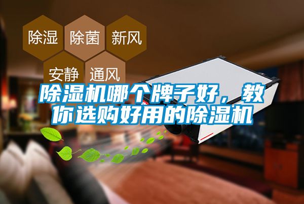 除濕機哪個牌子好，教你選購好用的除濕機