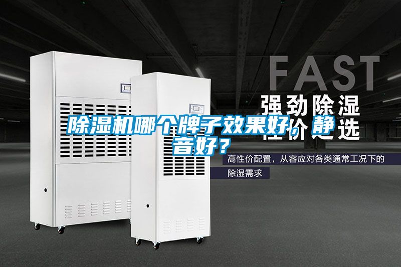 除濕機哪個牌子效果好，靜音好？