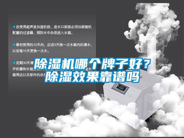 除濕機哪個牌子好？除濕效果靠譜嗎