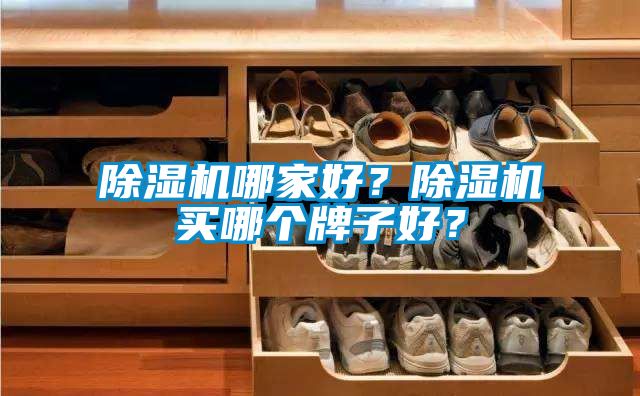 除濕機(jī)哪家好？除濕機(jī)買哪個牌子好？