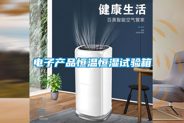 電子產(chǎn)品恒溫恒濕試驗(yàn)箱