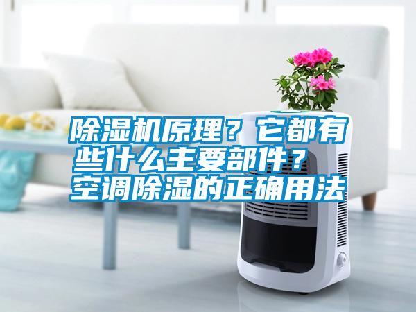 除濕機(jī)原理？它都有些什么主要部件？ 空調(diào)除濕的正確用法