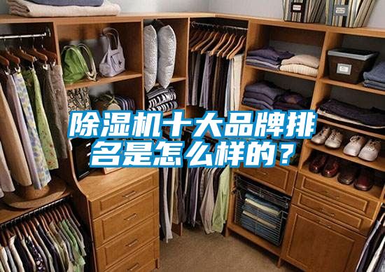 除濕機(jī)十大品牌排名是怎么樣的？