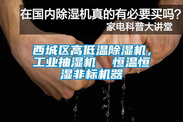 西城區(qū)高低溫除濕機(jī)，工業(yè)抽濕機(jī)  恒溫恒濕非標(biāo)機(jī)器