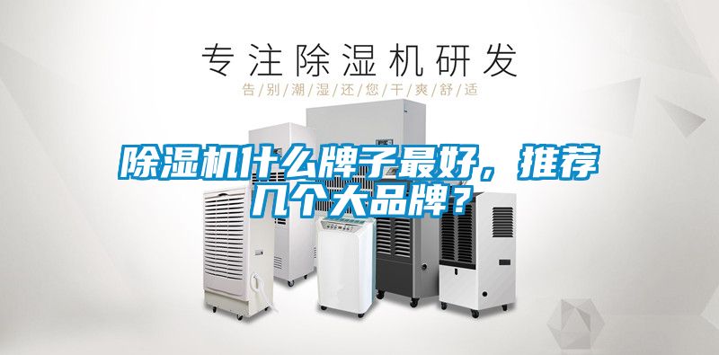 除濕機(jī)什么牌子最好，推薦幾個(gè)大品牌？
