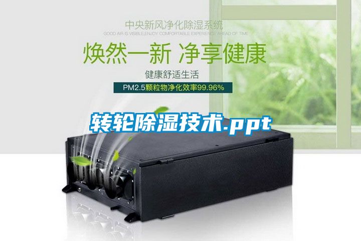 轉(zhuǎn)輪除濕技術.ppt