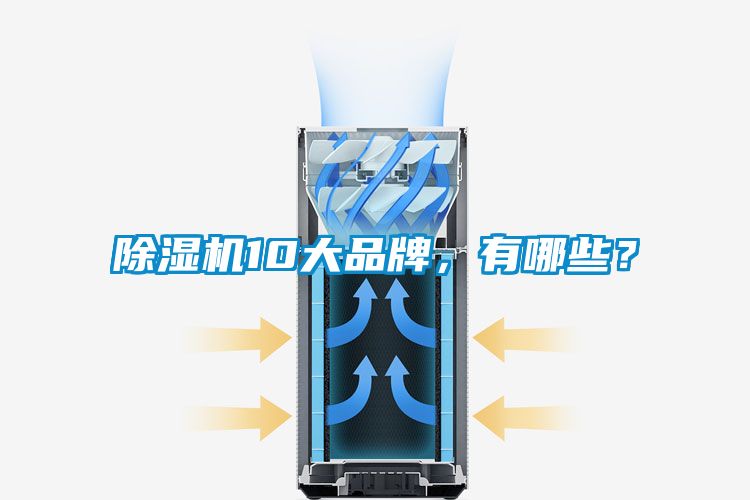 除濕機(jī)10大品牌，有哪些？