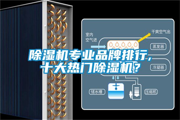 除濕機(jī)專業(yè)品牌排行,十大熱門除濕機(jī)？