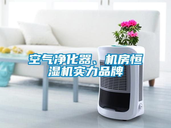 空氣凈化器、機(jī)房恒濕機(jī)實(shí)力品牌