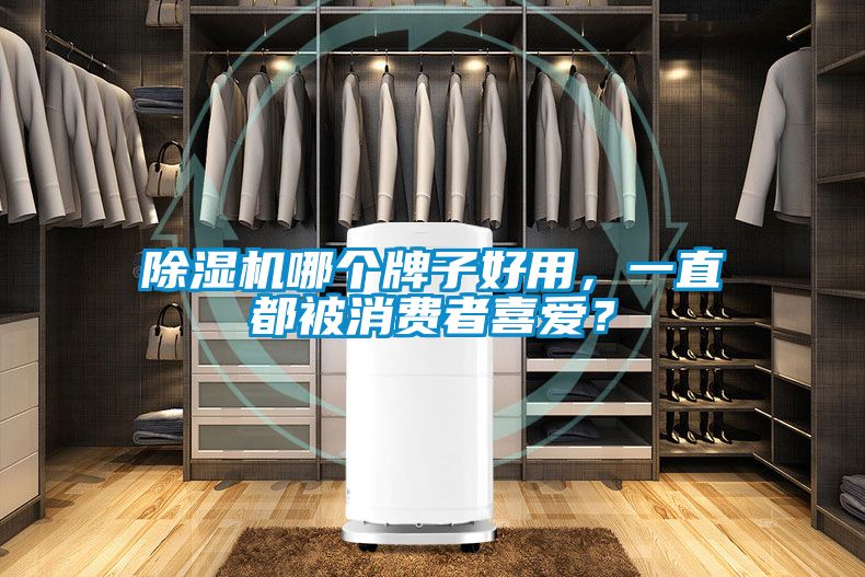 除濕機哪個牌子好用，一直都被消費者喜愛？