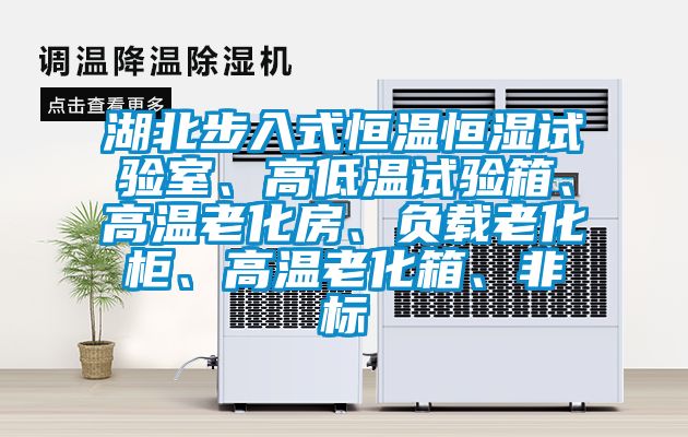 湖北步入式恒溫恒濕試驗室、高低溫試驗箱、高溫老化房、負載老化柜、高溫老化箱、非標