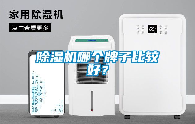 除濕機(jī)哪個(gè)牌子比較好？