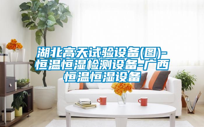 湖北高天試驗(yàn)設(shè)備(圖)-恒溫恒濕檢測(cè)設(shè)備-廣西恒溫恒濕設(shè)備