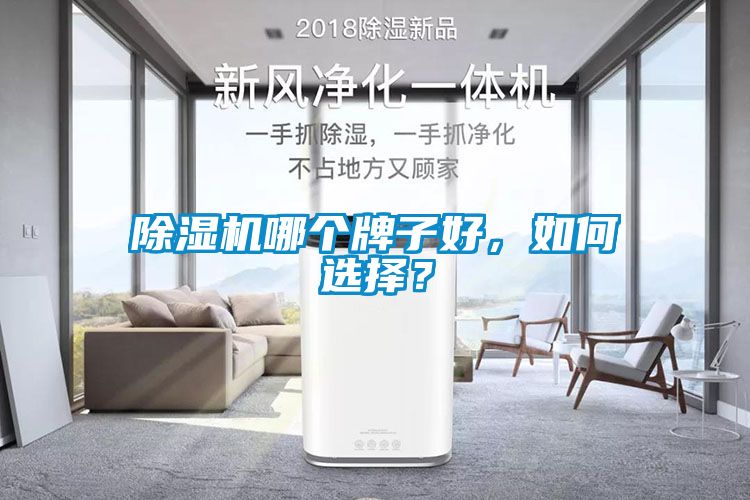 除濕機哪個牌子好，如何選擇？