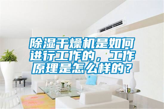 除濕干燥機是如何進行工作的，工作原理是怎么樣的？