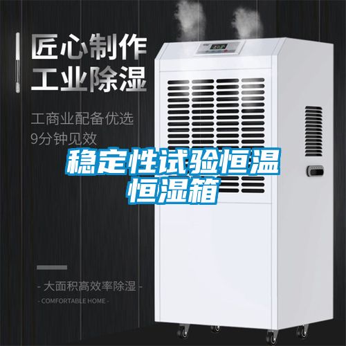 穩(wěn)定性試驗恒溫恒濕箱