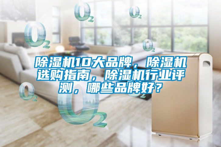除濕機(jī)10大品牌，除濕機(jī)選購(gòu)指南，除濕機(jī)行業(yè)評(píng)測(cè)，哪些品牌好？
