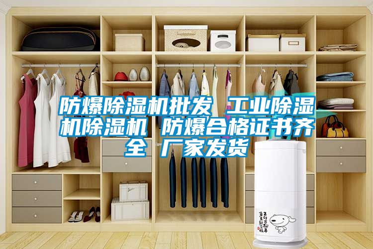 防爆除濕機(jī)批發(fā) 工業(yè)除濕機(jī)除濕機(jī) 防爆合格證書(shū)齊全 廠家發(fā)貨