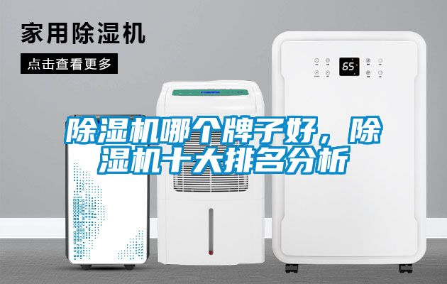 除濕機哪個牌子好，除濕機十大排名分析