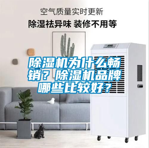 除濕機(jī)為什么暢銷？除濕機(jī)品牌哪些比較好？
