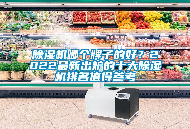 除濕機(jī)哪個(gè)牌子的好？2022最新出爐的十大除濕機(jī)排名值得參考