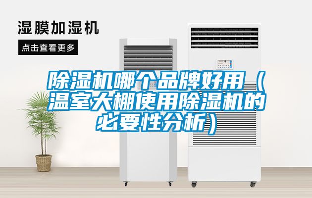 除濕機(jī)哪個品牌好用（溫室大棚使用除濕機(jī)的必要性分析）