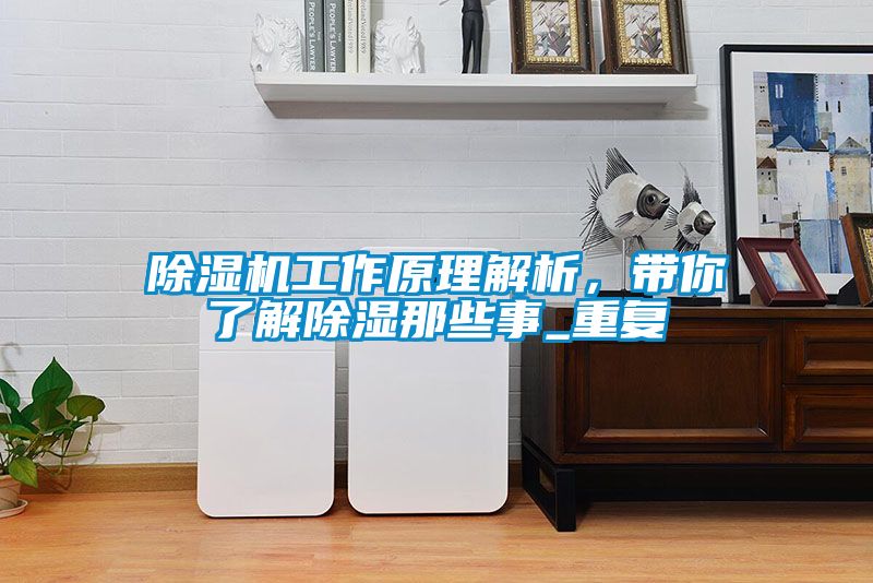 除濕機(jī)工作原理解析，帶你了解除濕那些事_重復(fù)