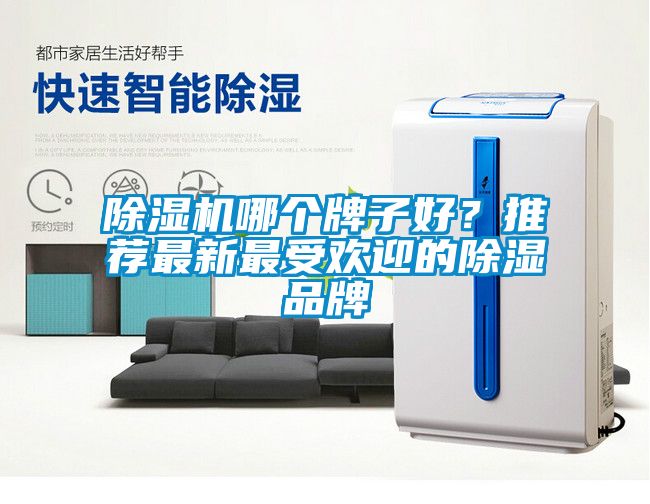 除濕機哪個牌子好？推薦最新最受歡迎的除濕品牌