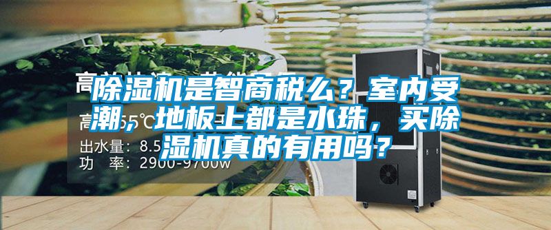 除濕機是智商稅么？室內(nèi)受潮，地板上都是水珠，買除濕機真的有用嗎？
