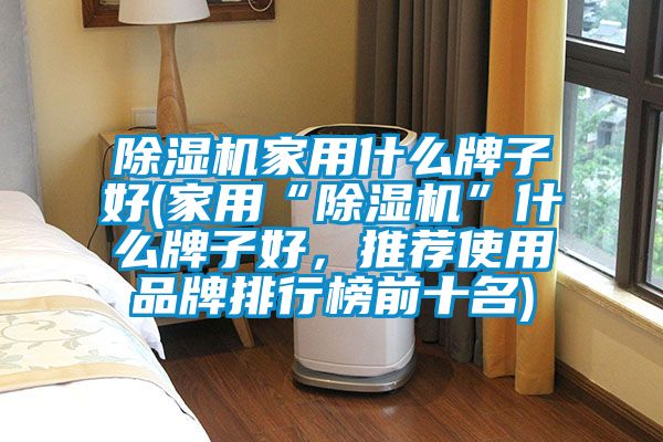 除濕機(jī)家用什么牌子好(家用“除濕機(jī)”什么牌子好，推薦使用品牌排行榜前十名)