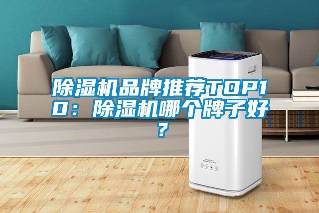 除濕機(jī)品牌推薦TOP10：除濕機(jī)哪個(gè)牌子好？