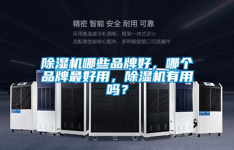 除濕機哪些品牌好，哪個品牌最好用，除濕機有用嗎？