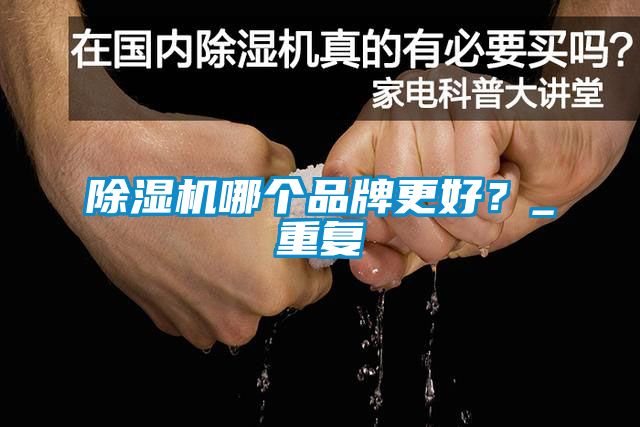 除濕機哪個品牌更好？_重復(fù)