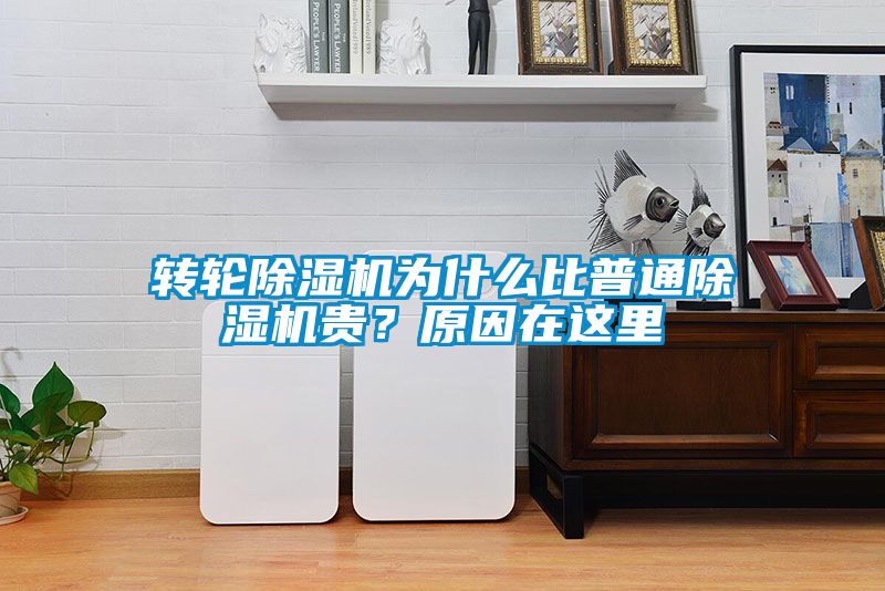 轉(zhuǎn)輪除濕機(jī)為什么比普通除濕機(jī)貴？原因在這里