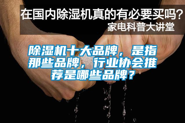 除濕機(jī)十大品牌，是指那些品牌，行業(yè)協(xié)會(huì)推薦是哪些品牌？