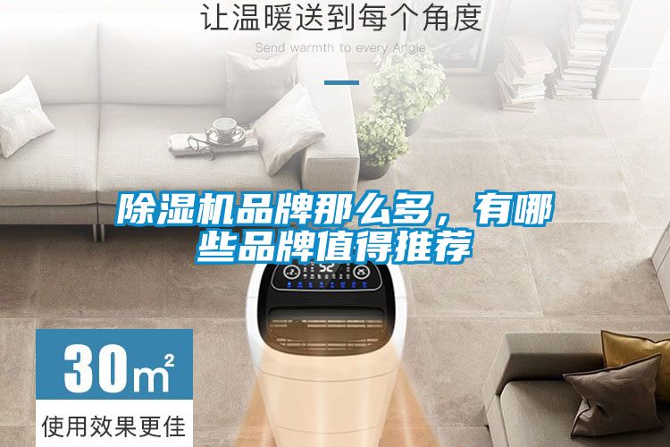除濕機品牌那么多，有哪些品牌值得推薦