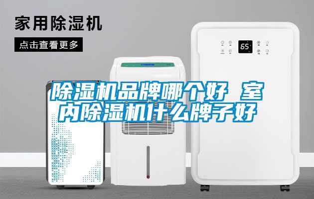 除濕機品牌哪個好 室內(nèi)除濕機什么牌子好