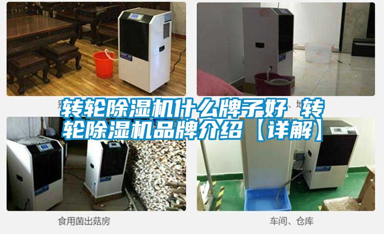轉(zhuǎn)輪除濕機什么牌子好 轉(zhuǎn)輪除濕機品牌介紹【詳解】