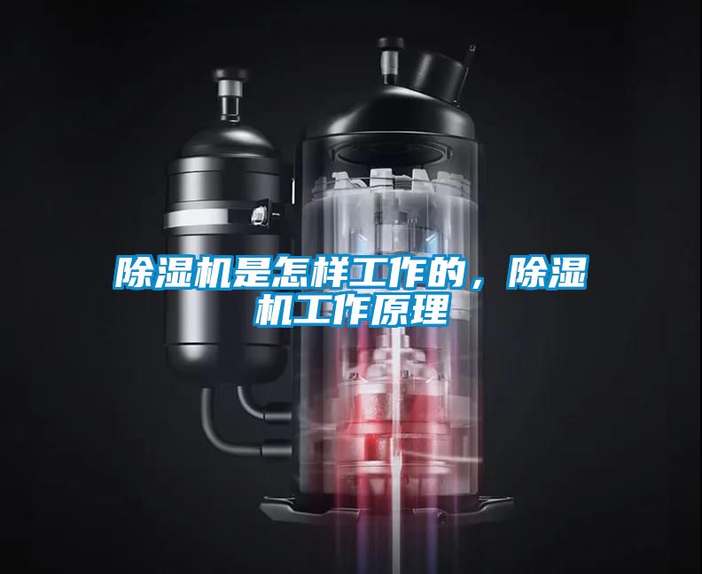 除濕機(jī)是怎樣工作的，除濕機(jī)工作原理