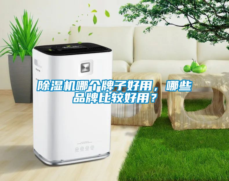 除濕機哪個牌子好用，哪些品牌比較好用？