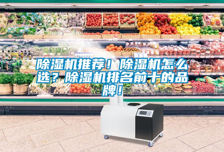 除濕機(jī)推薦！除濕機(jī)怎么選？除濕機(jī)排名前十的品牌！