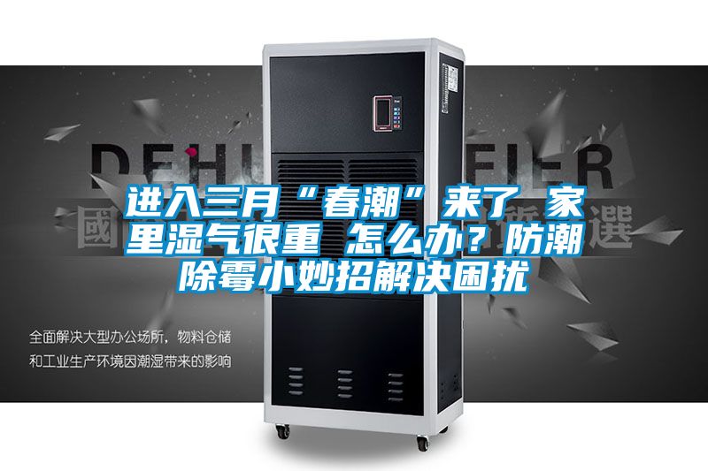 進(jìn)入三月“春潮”來了 家里濕氣很重 怎么辦？防潮除霉小妙招解決困擾