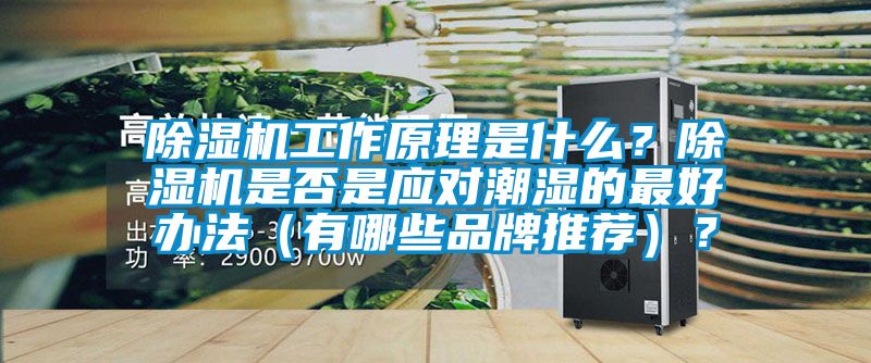 除濕機工作原理是什么？除濕機是否是應(yīng)對潮濕的最好辦法（有哪些品牌推薦）？
