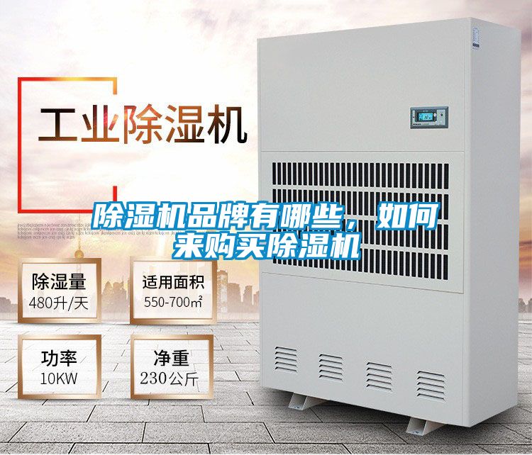 除濕機(jī)品牌有哪些，如何來(lái)購(gòu)買(mǎi)除濕機(jī)