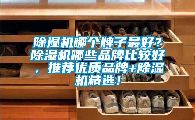 除濕機(jī)哪個(gè)牌子最好？除濕機(jī)哪些品牌比較好，推薦優(yōu)質(zhì)品牌+除濕機(jī)精選！